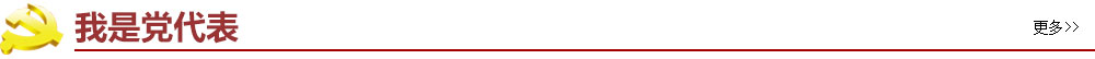 我是黨代表